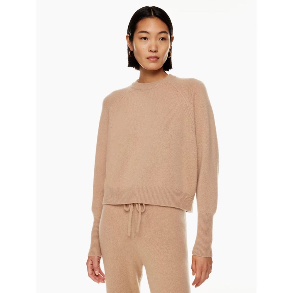 NWT Aritzia The Group by Babaton Luxe Cashmere Crewneck Sweater (Pink)